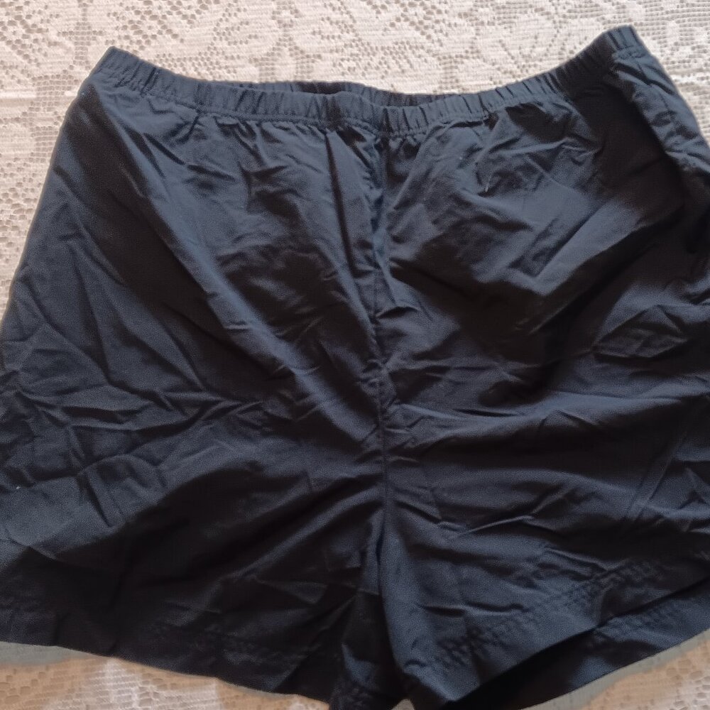 Set of 3 Women's Athletic Shorts | Sizes L & XL | Fila, Lands' End, Champion - Picture 3 of 7